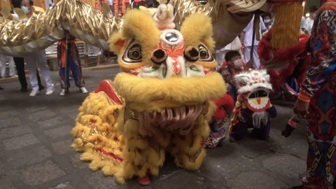 Chinese lions performing. Stock Footage 220365203