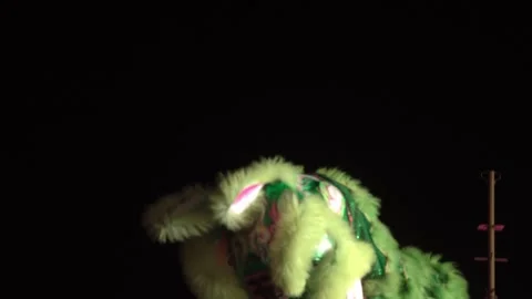 Chinese lions performing Stock Footage 250511100