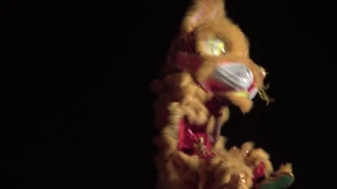 Chinese lions performing Stock Footage 250511249