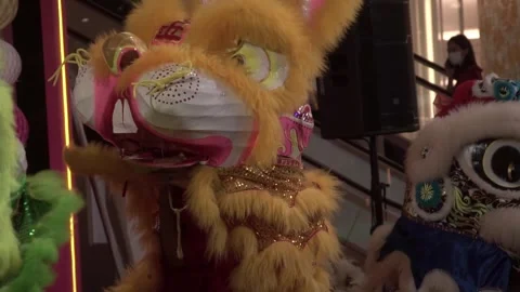 Chinese lions performing Stock Footage 250515121