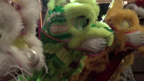 Chinese lions performing Stock Footage 250515156