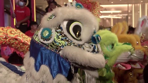 Chinese lions performing Stock Footage 250515165