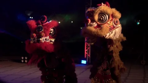 Chinese lions performing at night. Stock Footage 250523445
