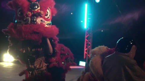 Chinese lions performing at night. Stock Footage 250523467