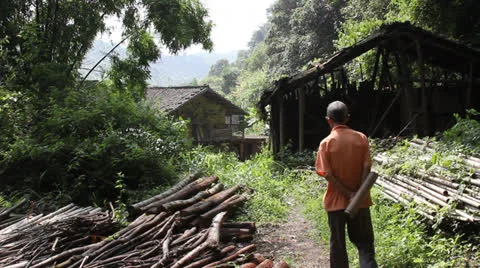 Chinese man walking in forest Video stock 22606746