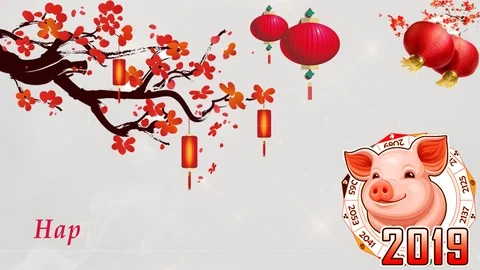Chinese New Year 03 Stock Footage 101315639