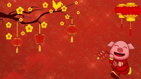 Chinese New Year 04 Stock Footage 101319296