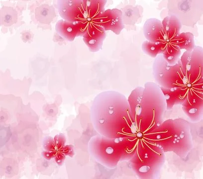 Chinese new year background blooming sakura branches Stock Illustration