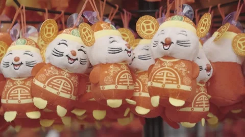 Chinese New Year Decorations Stock Footage 247357552