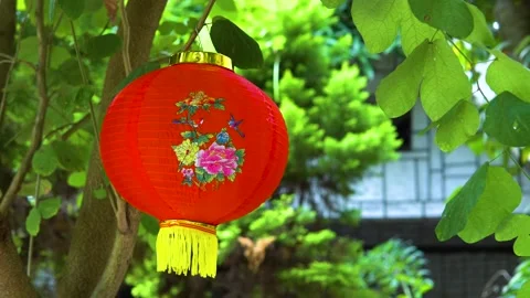 Chinese New Year Stock Footage 184304783