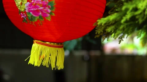 Chinese New Year Stock Footage 184304827