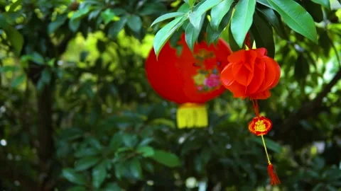 Chinese New Year Stock Footage 184304828
