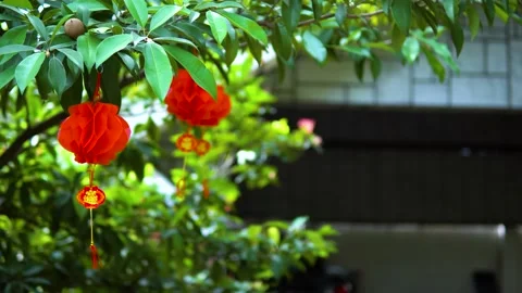 Chinese New Year Stock Footage 184304891