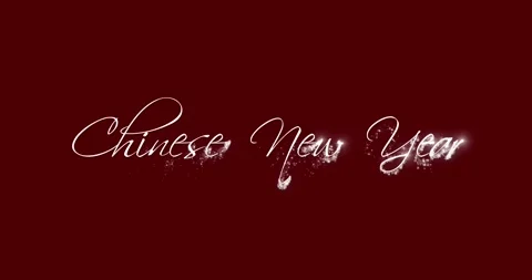 Chinese New Year Stock Footage 262950896