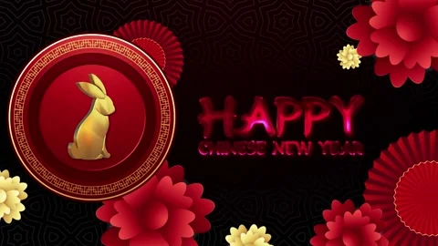 Chinese New Year Stock Footage 308183649