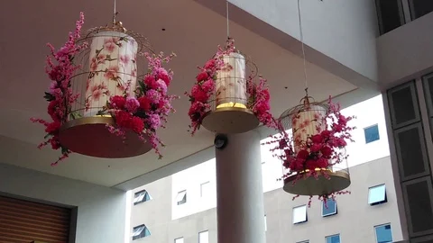 Chinese New year Lantern decor Stock Footage 101769813