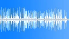 Chinese new year paradeSound Effect