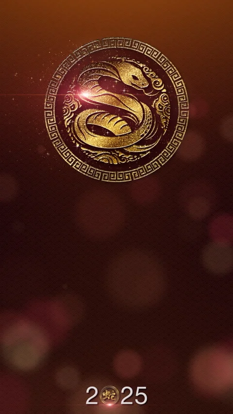 Chinese New Year Vertical Background Decoration Stock Footage 291401012