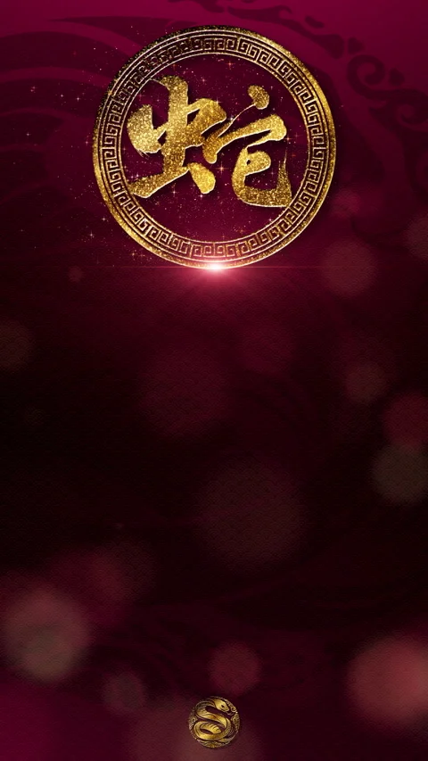 Chinese New Year Vertical Background Decoration Stock Footage 291403123