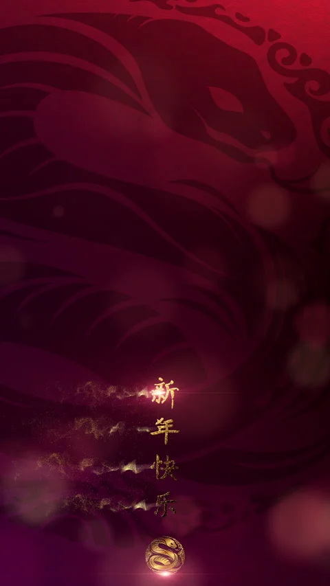 Chinese New Year Vertical Background Decoration Stock Footage 291403777