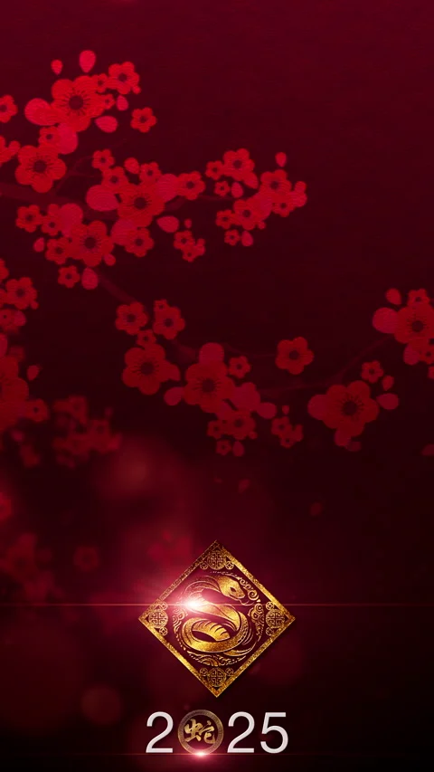 Chinese New Year Vertical Background Decoration Stock Footage 291413428