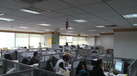 Chinese office, workers at computers, China Stock Footage 54247502