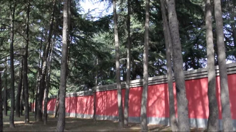 Chinese park Stock Footage 886236