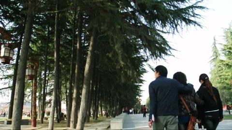 Chinese park Stock Footage 907288