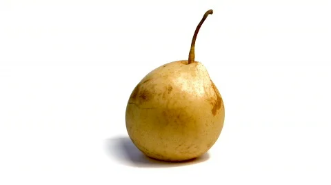 Chinese pear 動画素材 368992