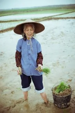 Chinese peasant Stock Photos