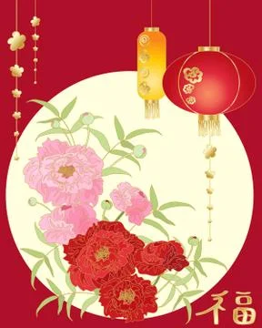 Chinese peony Stock Illustration