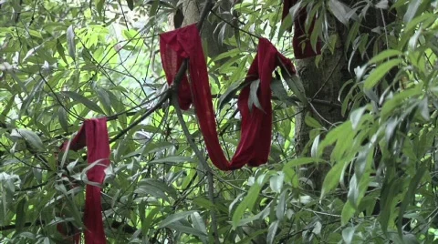 Chinese Prayer Flags Video stock 695889