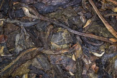 Chinese pressed tea texture. Foto stock