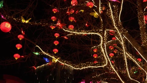 Chinese red lantern decorations are hung on the trees to celebrate the festi Stock Footage 259970566