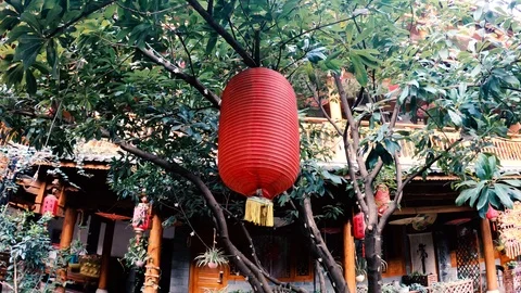 Chinese Red lantern hanging on tree brunches (Footage taken during light changin Stock-Footage 104884345