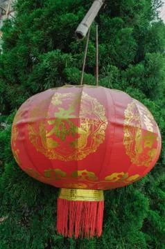 Chinese red lantern Stock Photos