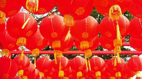 The Chinese red lantern on the tree decorated as the symbol for lucky Stock Footage 113302707