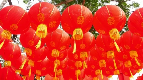 The Chinese red lantern on the tree decorated as the symbol for lucky Stock Footage 113302823