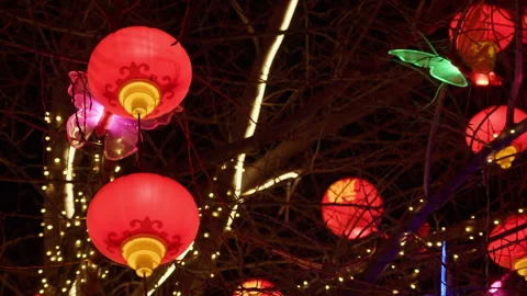 Chinese red lanterns are hung on the tree to celebrate the festival Stock Footage 259973645