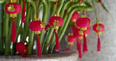 Chinese red lanterns are small decorations for trees.Red lantern. Stock Footage 282382380
