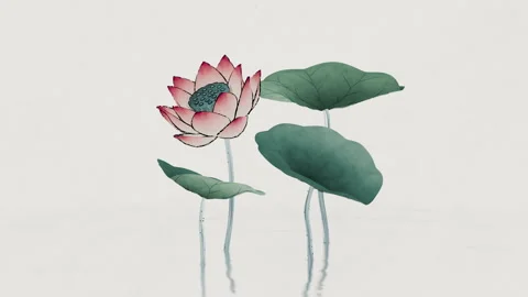 Chinese retro painting style lotus illus... | Stock Video | Pond5