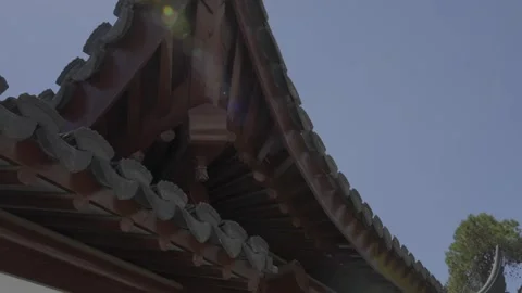 Chinese rooftop architecture Video stock 347103974