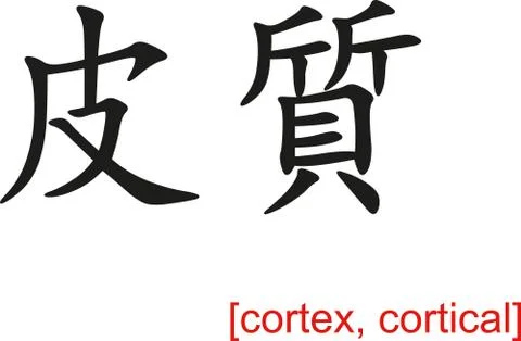 Chinese Sign for cortex, cortical Stock Illustration