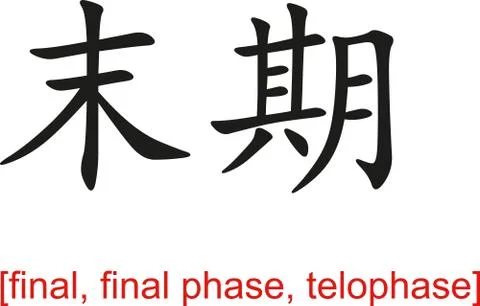 Chinese Sign for final, final phase, telophase Stock Illustration