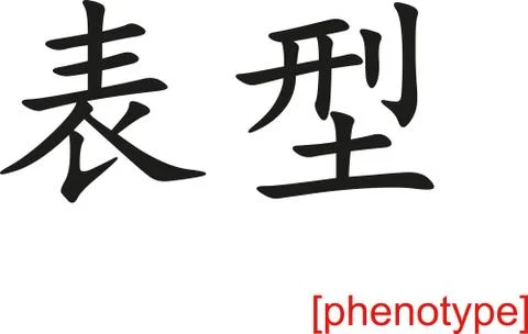 Chinese Sign for phenotype Stock Illustration
