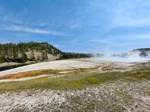 Chinese Spring Stock Photos