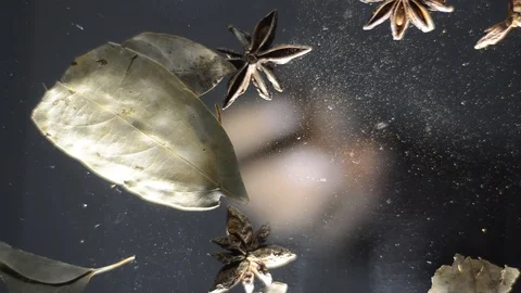 Chinese star anise falling down to the mirror worm's eye view angle shot. Video stock 86408897