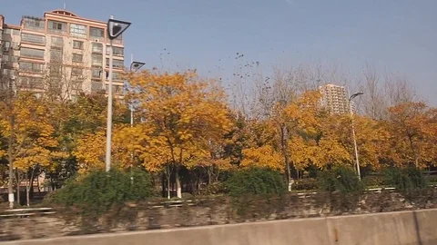 Chinese streets 36 Video stock 106629656