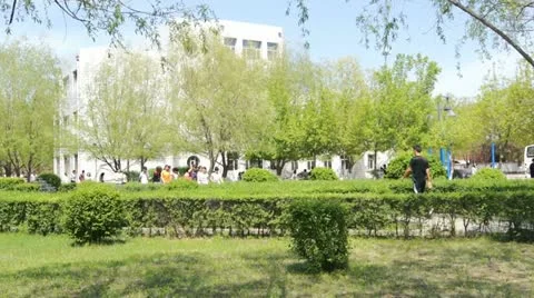 Chinese Students Walking Stock Footage 11130137