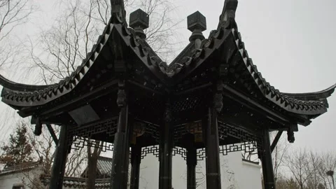Chinese style ancient building with dead tree - close-up of ancient pavilion 動画素材 233578298